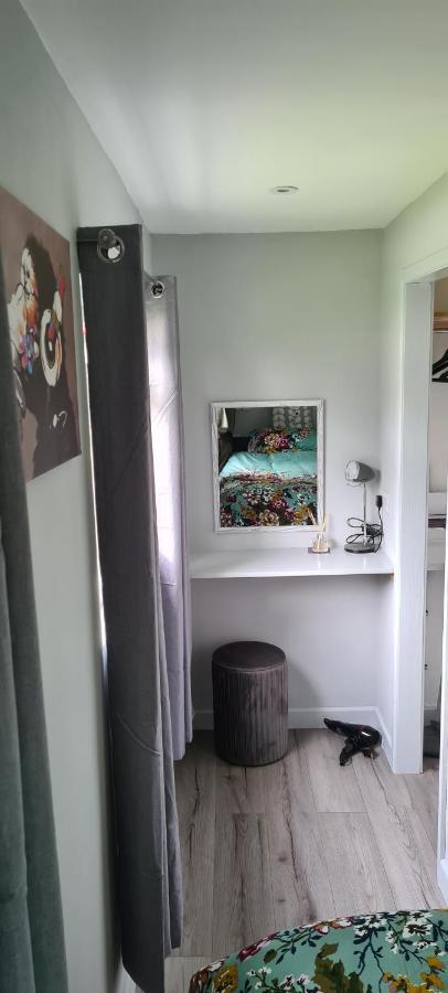 Forget-Me-Not 114 Woodlands Park New Quay Appartement New Quay  Buitenkant foto