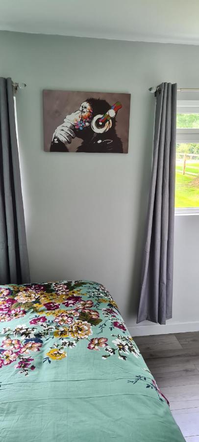 Forget-Me-Not 114 Woodlands Park New Quay Appartement New Quay  Buitenkant foto