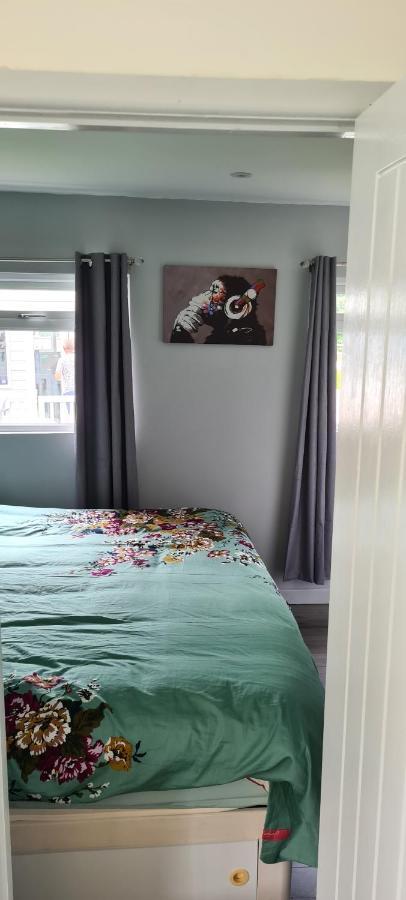 Forget-Me-Not 114 Woodlands Park New Quay Appartement New Quay  Buitenkant foto