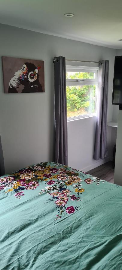 Forget-Me-Not 114 Woodlands Park New Quay Appartement New Quay  Buitenkant foto